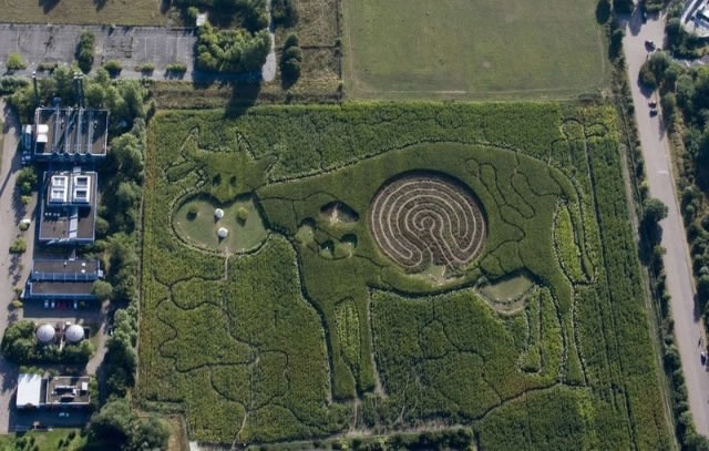 Bildschirmarbeiter - Picdump 04.09.2009