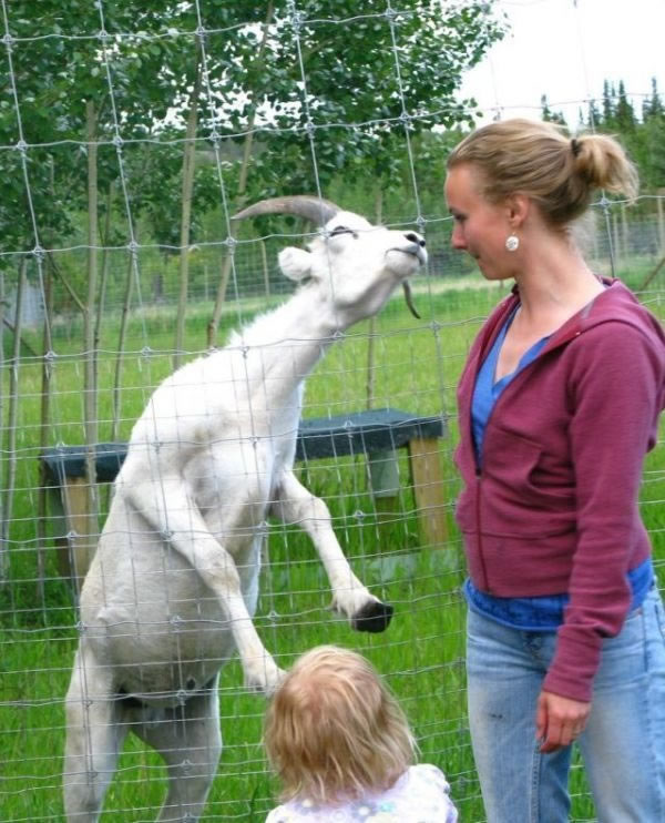 Bildschirmarbeiter - Picdump 04.09.2009