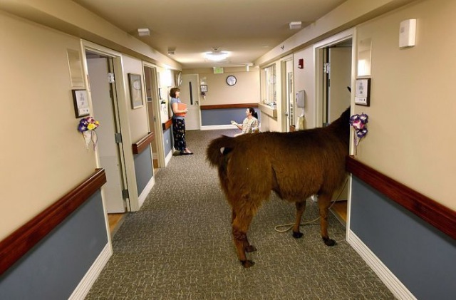 Bildschirmarbeiter - Picdump 04.09.2009