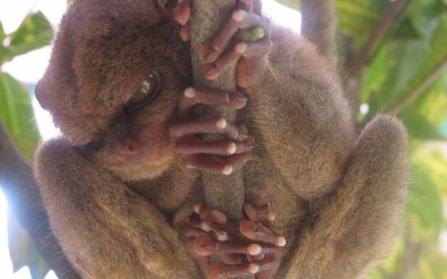 Bildschirmarbeiter - Picdump 10.09.2009