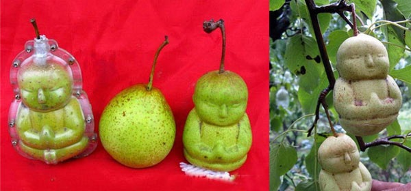 Bildschirmarbeiter - Picdump 10.09.2009