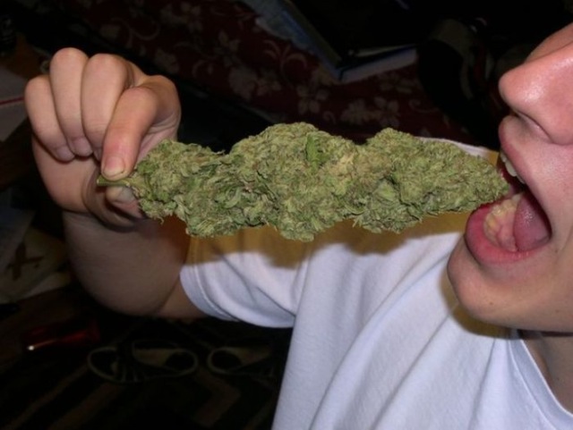 Bildschirmarbeiter - Picdump 18.09.2009