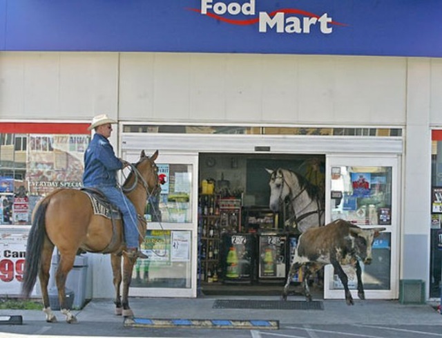 Bildschirmarbeiter - Picdump 18.09.2009