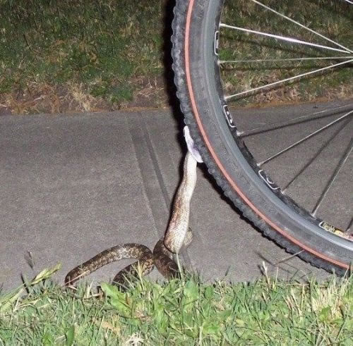 Bildschirmarbeiter - Picdump 18.09.2009