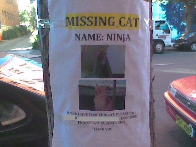 Bildschirmarbeiter - Picdump 18.09.2009