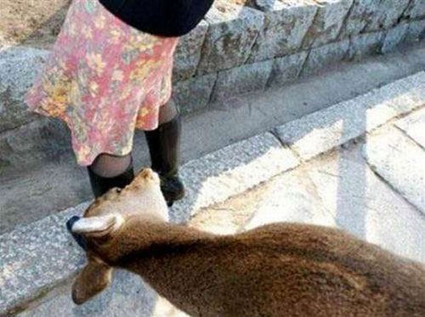 Bildschirmarbeiter - Picdump 02.10.2009