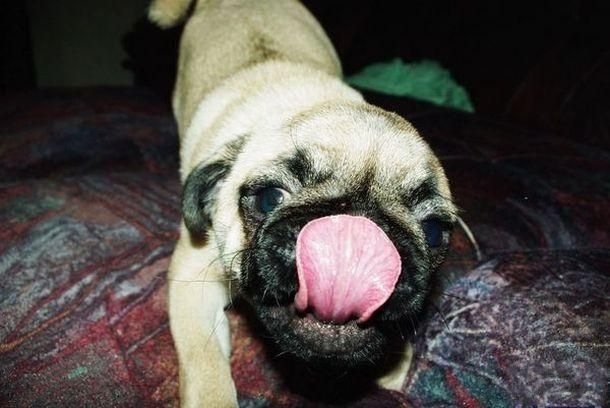 Bildschirmarbeiter - Picdump 02.10.2009