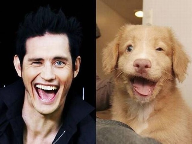 Bildschirmarbeiter - Picdump 02.10.2009