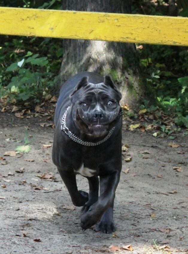 Bildschirmarbeiter - Picdump 02.10.2009