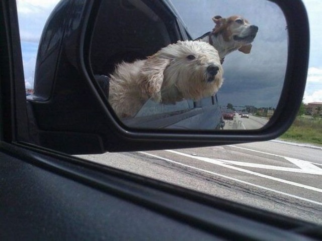 Bildschirmarbeiter - Picdump 30.10.2009