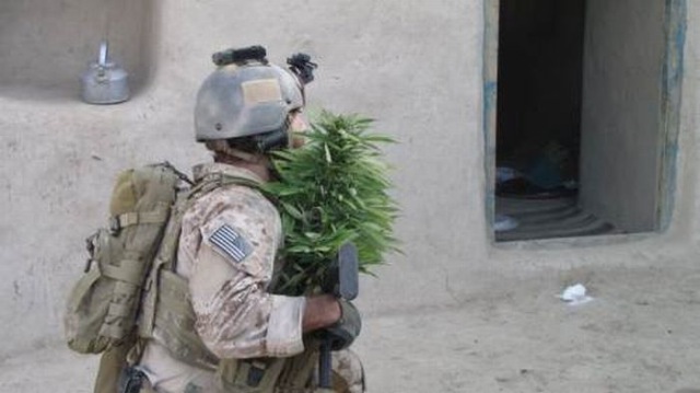 Bildschirmarbeiter - Picdump 30.10.2009