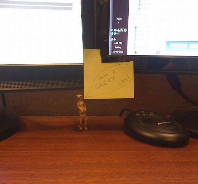 Bildschirmarbeiter - Picdump 30.10.2009