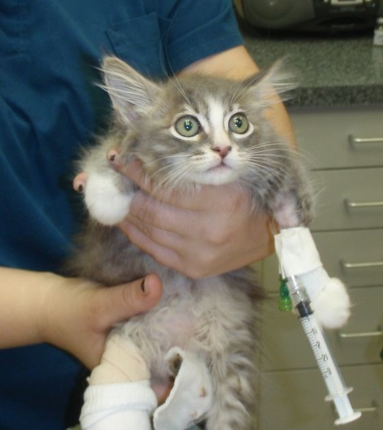 Bildschirmarbeiter - Picdump 30.10.2009