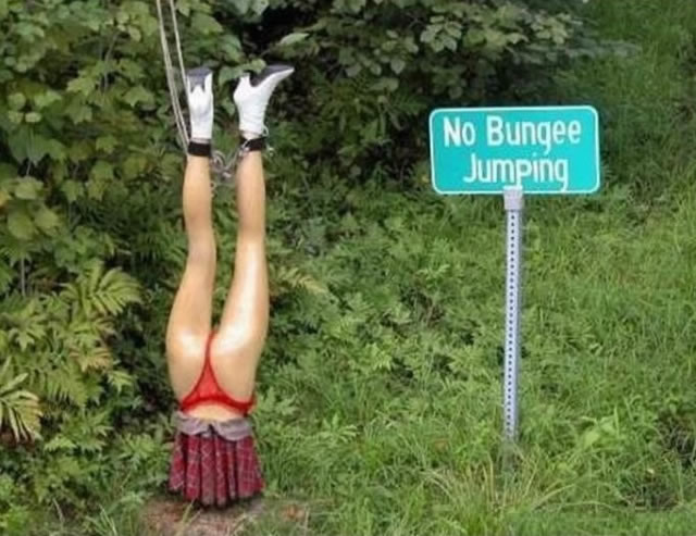 Bildschirmarbeiter - Picdump 30.10.2009