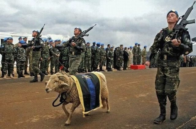 Bildschirmarbeiter - Picdump 30.10.2009