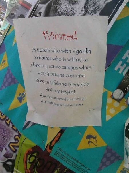 Bildschirmarbeiter - Picdump 30.10.2009