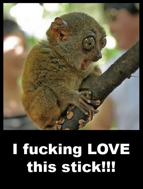 Bildschirmarbeiter - Picdump 30.10.2009