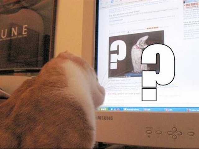 Bildschirmarbeiter - Picdump 13.11.2009