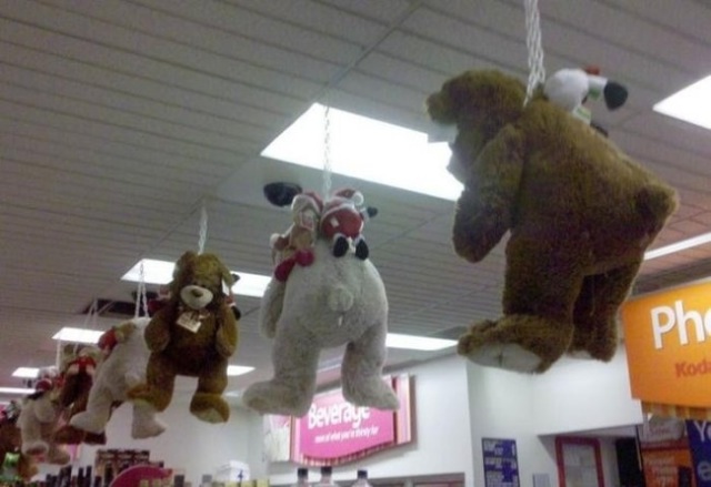 Bildschirmarbeiter - Picdump 13.11.2009