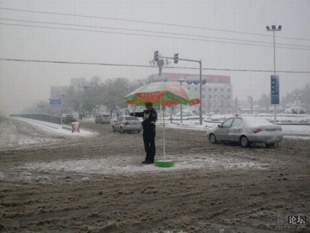 Bildschirmarbeiter - Picdump 20.11.2009