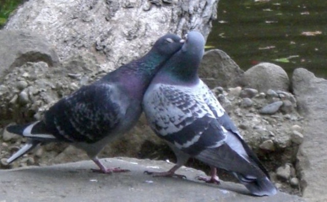 Bildschirmarbeiter - Picdump 20.11.2009