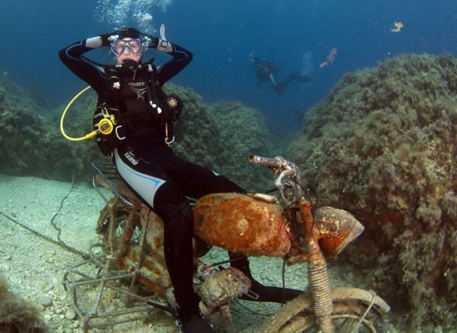 Bildschirmarbeiter - Picdump 20.11.2009