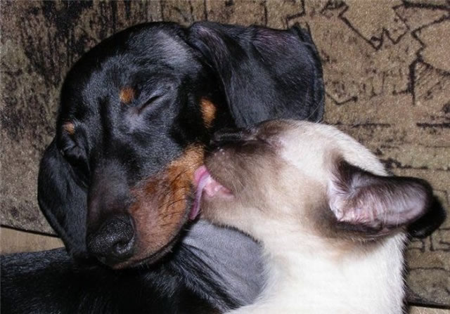 Bildschirmarbeiter - Picdump 20.11.2009