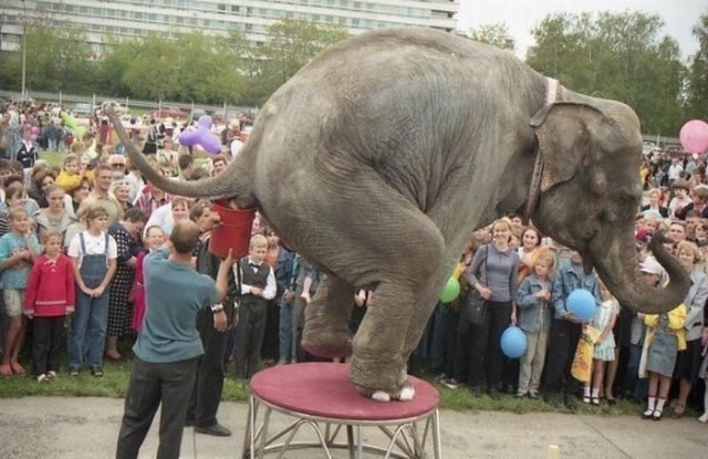 Bildschirmarbeiter - Picdump 20.11.2009