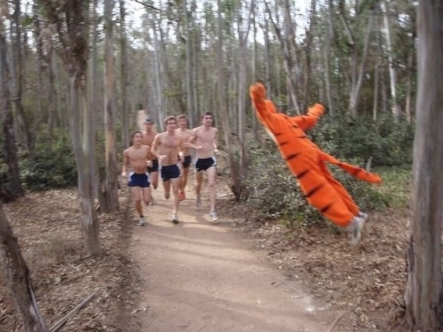 Bildschirmarbeiter - Picdump 20.11.2009