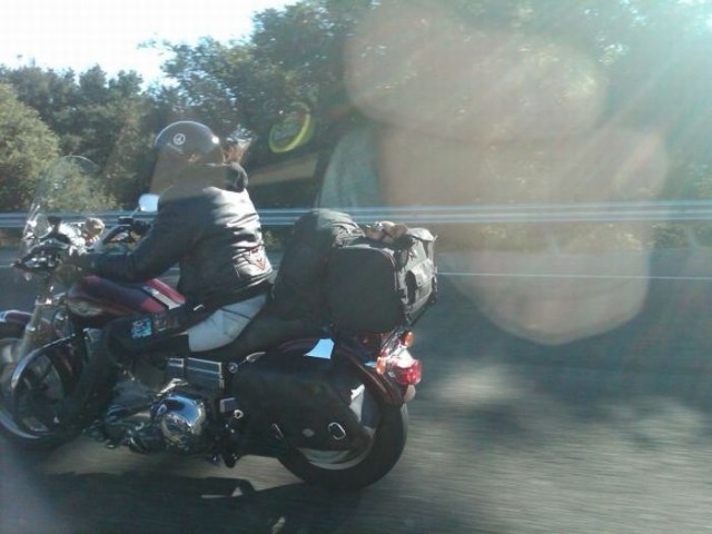 Bildschirmarbeiter - Picdump 27.11.2009