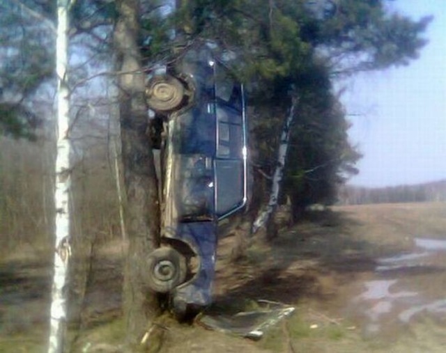 Bildschirmarbeiter - Picdump 27.11.2009