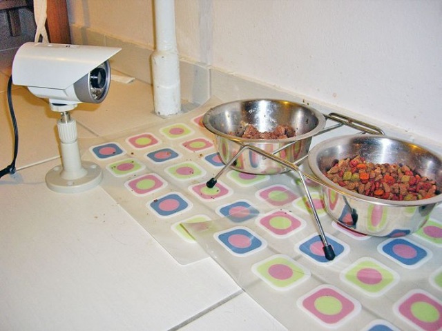 Bildschirmarbeiter - Picdump 27.11.2009