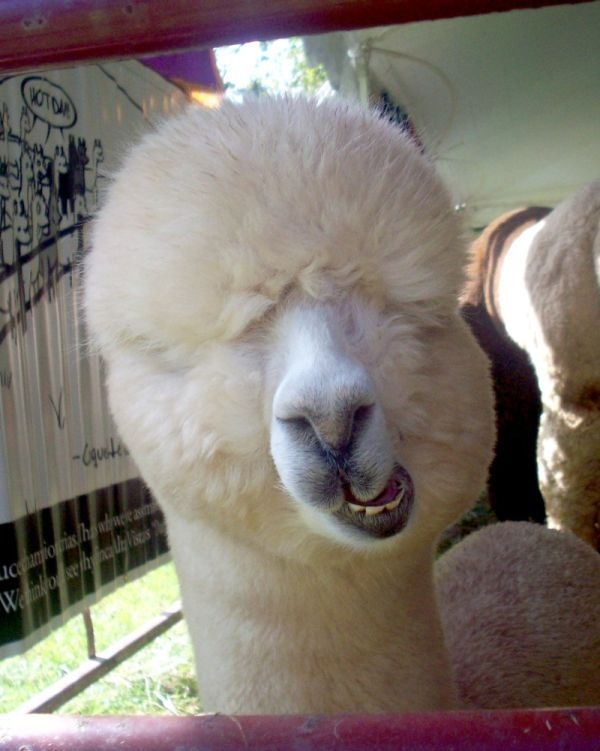 Bildschirmarbeiter - Picdump 27.11.2009