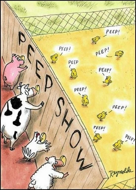 Bildschirmarbeiter - Picdump 27.11.2009