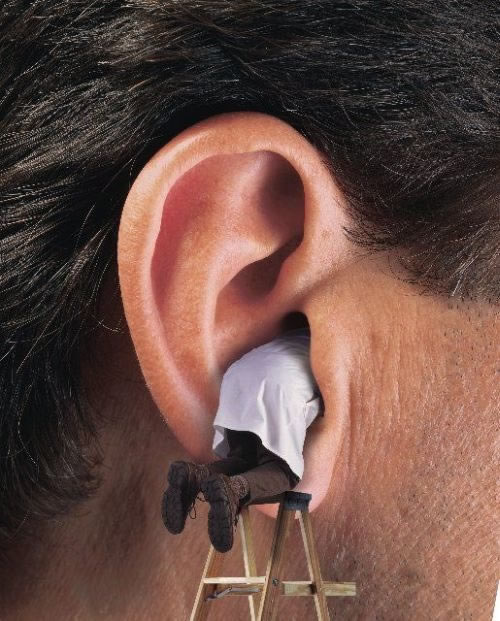 Bildschirmarbeiter - Picdump 27.11.2009