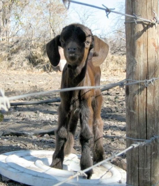 Bildschirmarbeiter - Picdump 27.11.2009