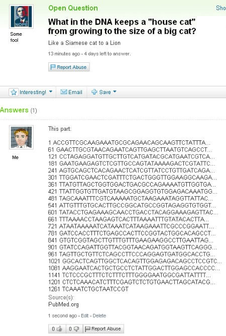 Bildschirmarbeiter - Picdump 27.11.2009