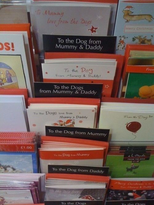 Bildschirmarbeiter - Picdump 18.12.2009