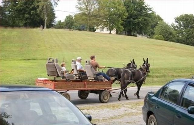 Bildschirmarbeiter - Picdump 18.12.2009