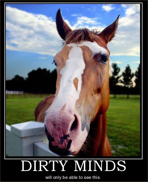 Bildschirmarbeiter - Picdump 18.12.2009