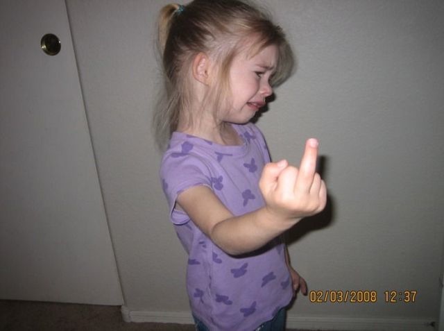 Bildschirmarbeiter - Picdump 18.12.2009