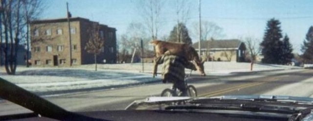 Bildschirmarbeiter - Picdump 18.12.2009