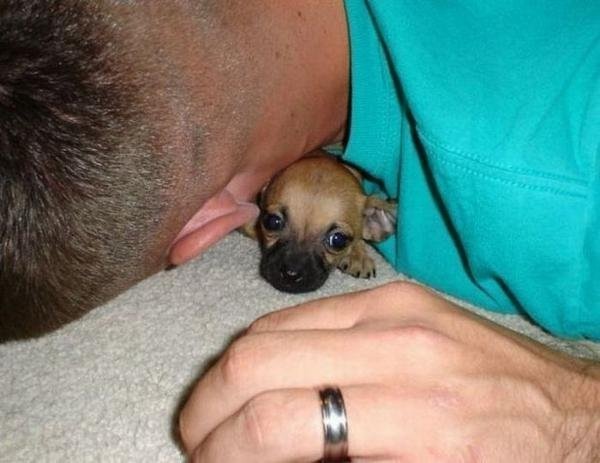 Bildschirmarbeiter - Picdump 18.12.2009