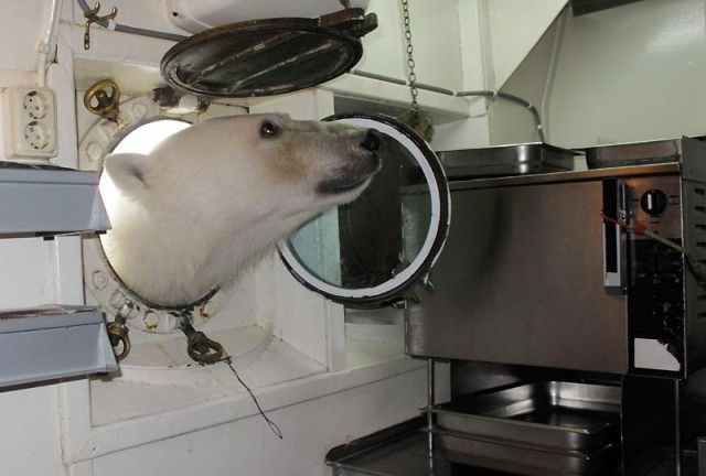 Bildschirmarbeiter - Picdump 25.12.2009