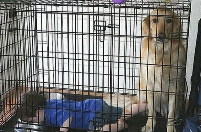 Bildschirmarbeiter - Picdump 25.12.2009