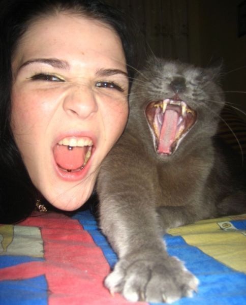 Bildschirmarbeiter - Picdump 01.01.2010