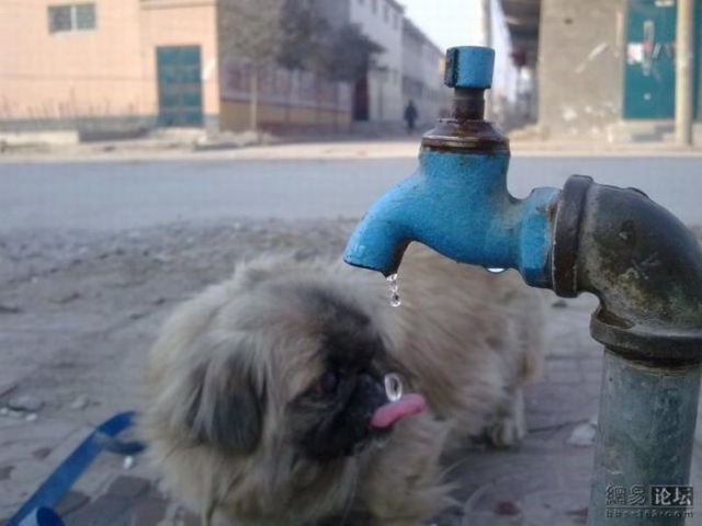 Bildschirmarbeiter - Picdump 01.01.2010