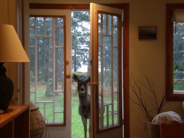 Bildschirmarbeiter - Picdump 01.01.2010