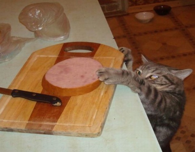 Bildschirmarbeiter - Picdump 01.01.2010