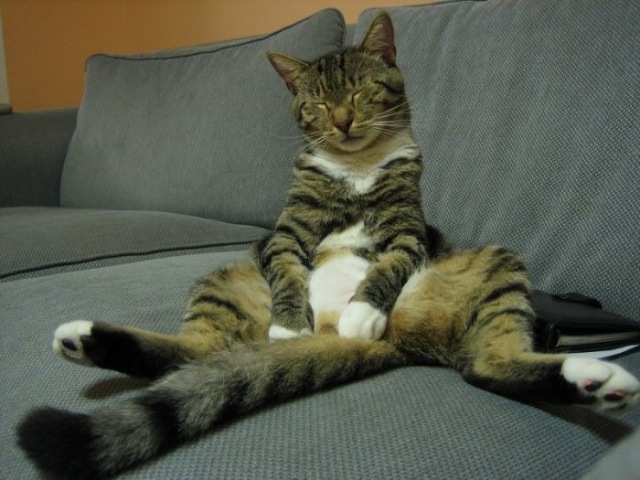 Bildschirmarbeiter - Picdump 01.01.2010